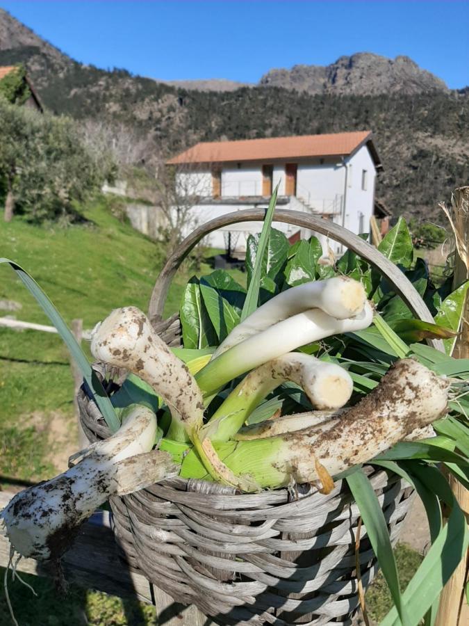Agriturismo Grilla Villa Mele Dış mekan fotoğraf