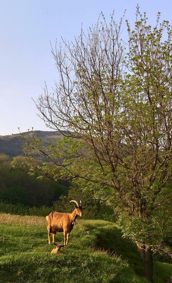 Agriturismo Grilla Villa Mele Dış mekan fotoğraf