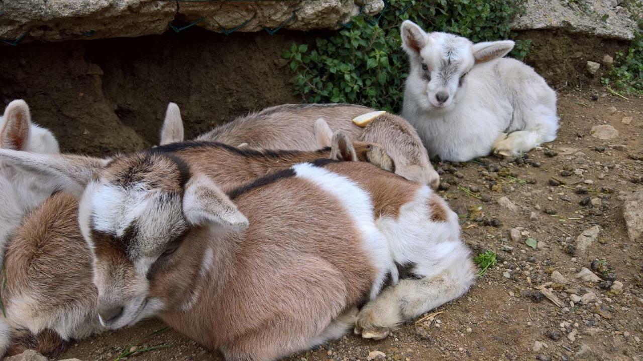 Agriturismo Grilla Villa Mele Dış mekan fotoğraf
