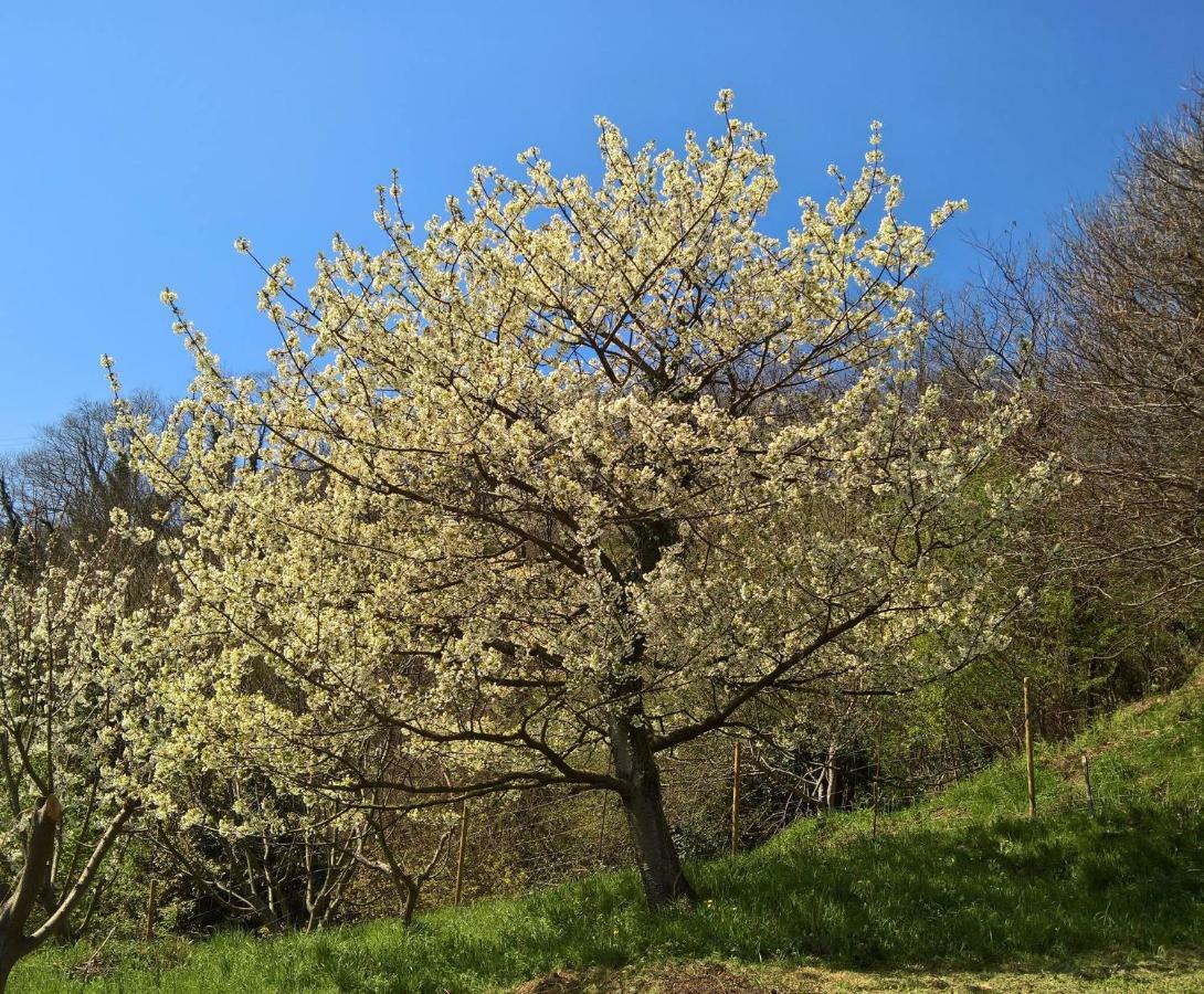 Agriturismo Grilla Villa Mele Dış mekan fotoğraf