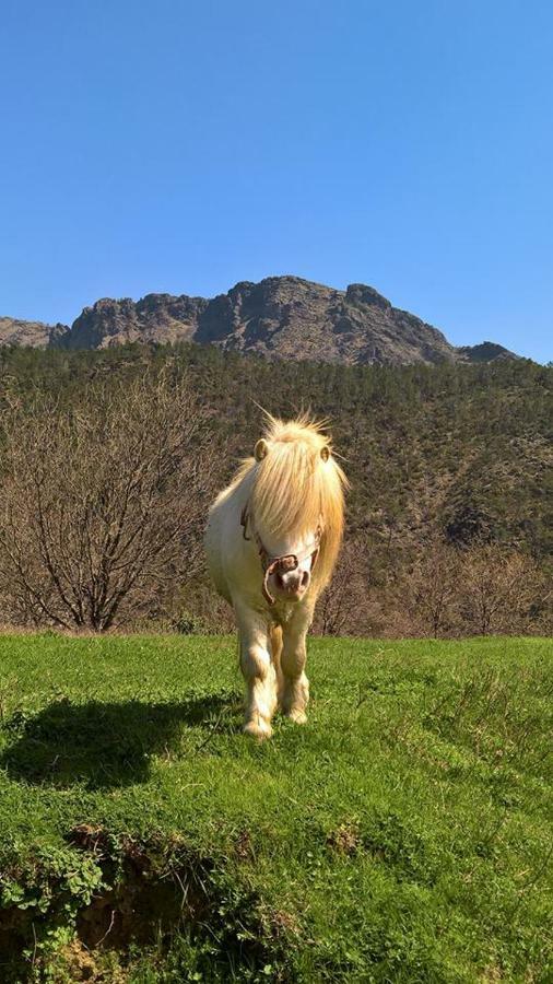 Agriturismo Grilla Villa Mele Dış mekan fotoğraf