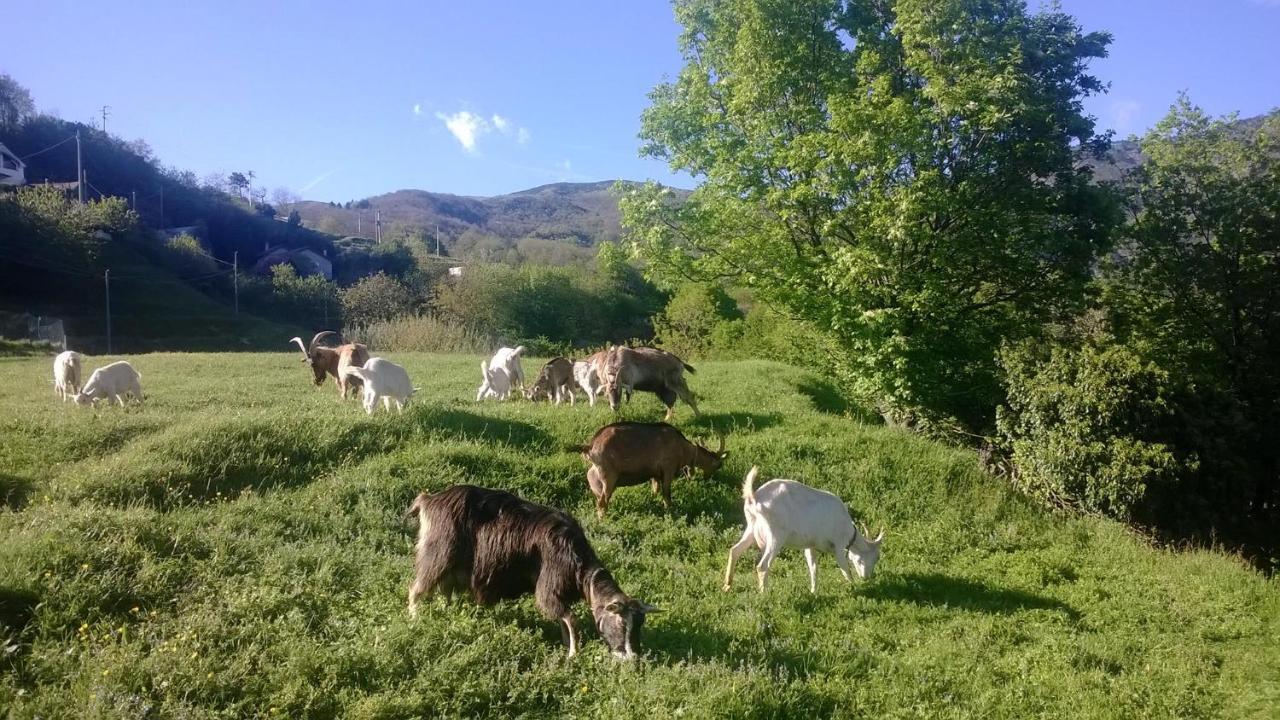 Agriturismo Grilla Villa Mele Oda fotoğraf